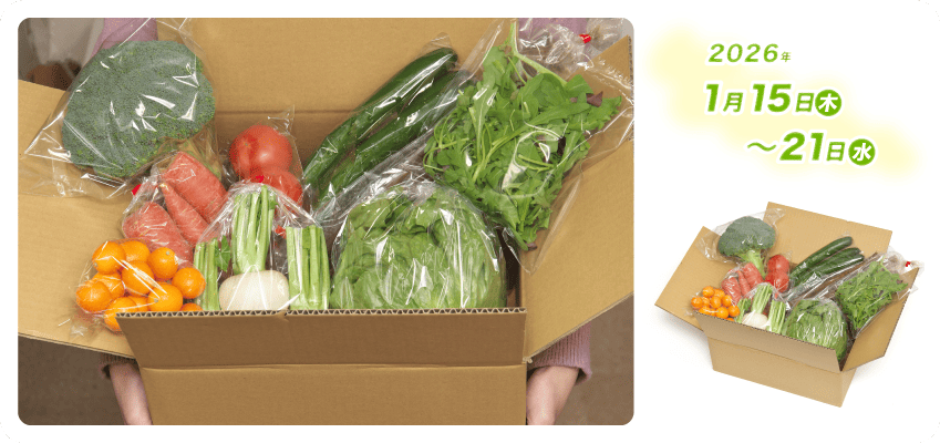 野菜定期便Kの内容例