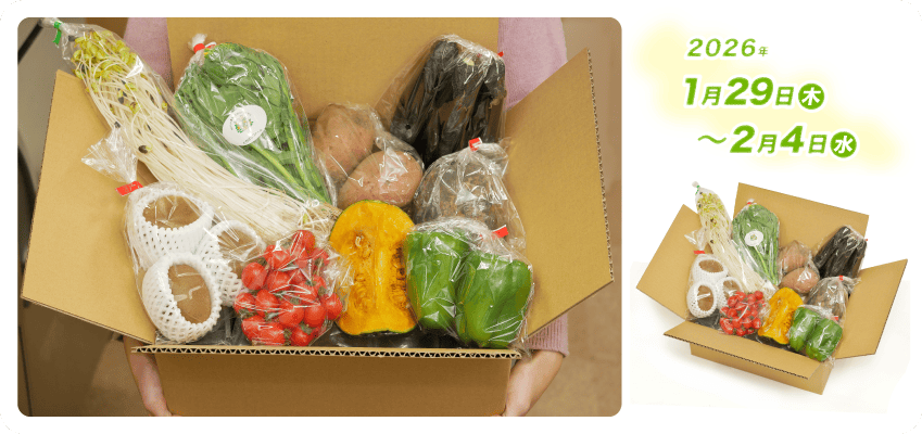 野菜定期便Kの内容例