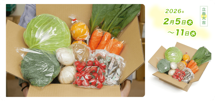 野菜定期便Kの内容例