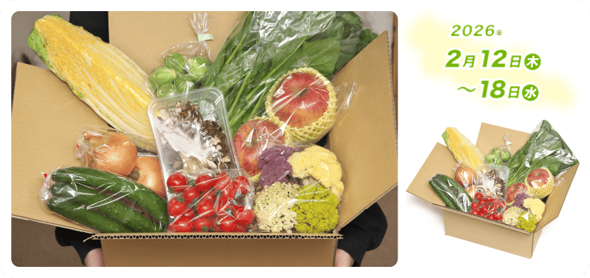 野菜定期便Kの内容例