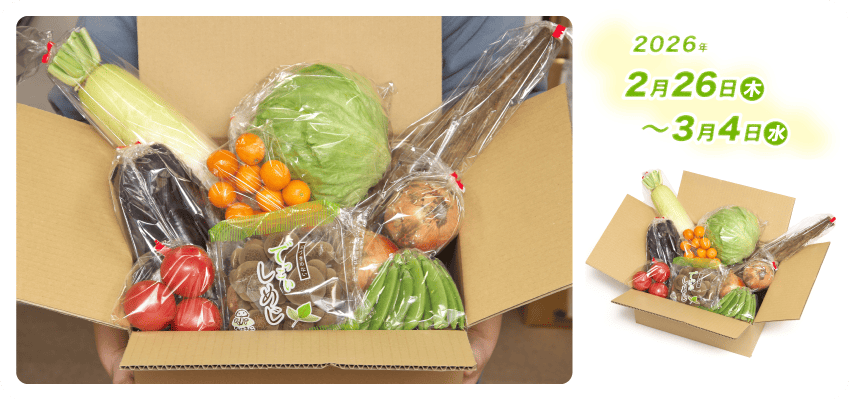 野菜定期便Kの内容例