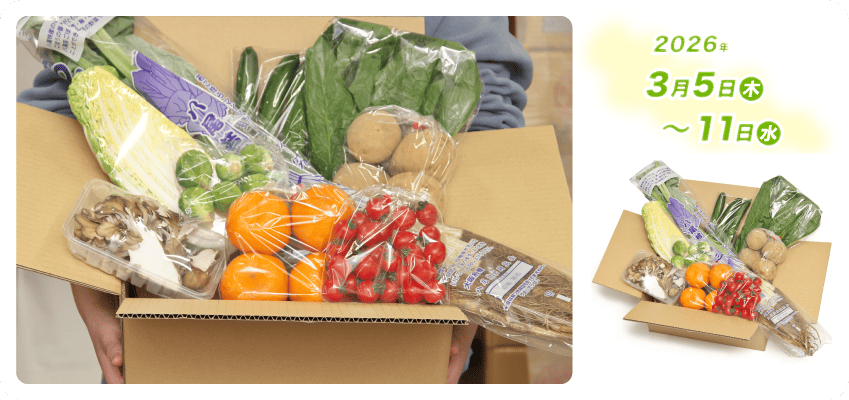 野菜定期便Kの内容例