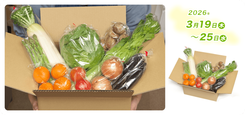 野菜定期便Kの内容例