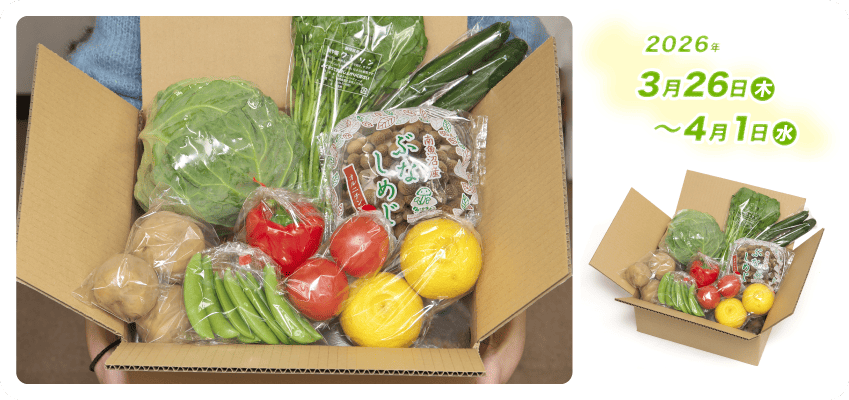 野菜定期便Kの内容例