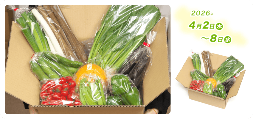 野菜定期便Kの内容例