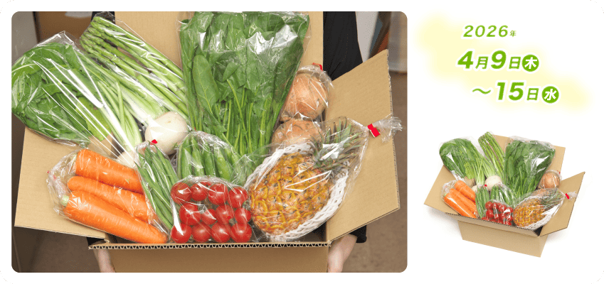 野菜定期便Kの内容例