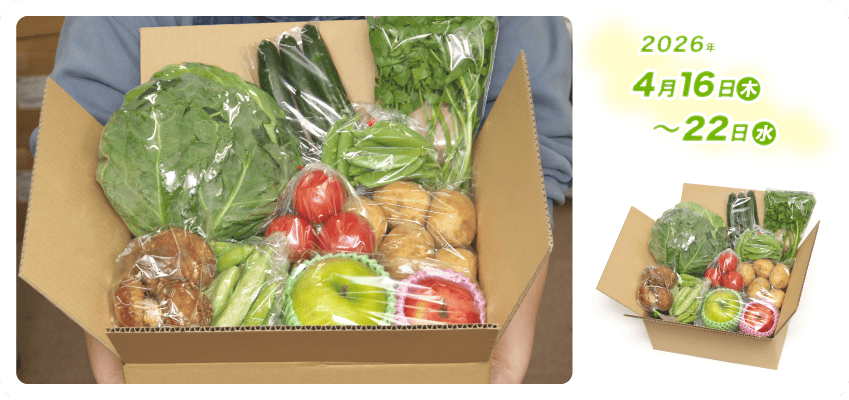 野菜定期便Kの内容例