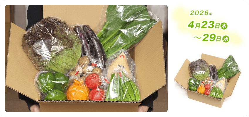 野菜定期便Kの内容例