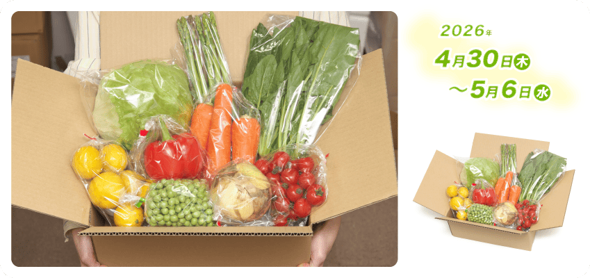野菜定期便Kの内容例