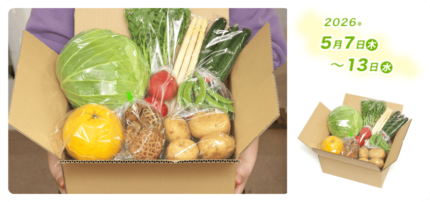 野菜定期便Kの内容例