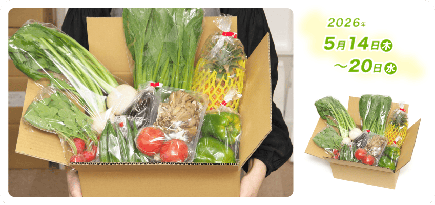 野菜定期便Kの内容例