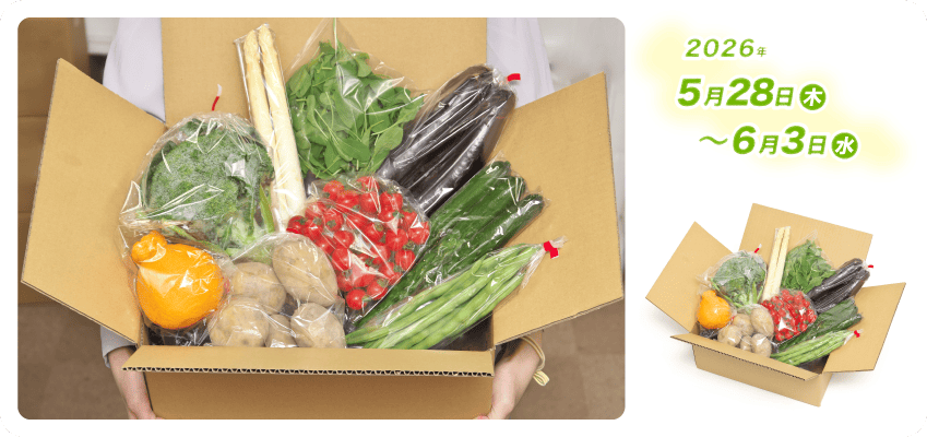 野菜定期便Kの内容例