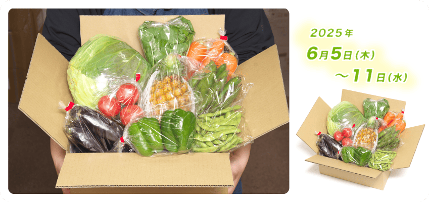 野菜定期便Kの内容例