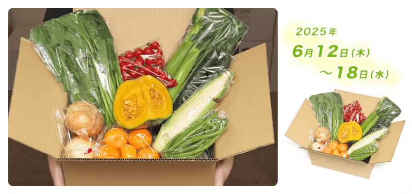 野菜定期便Kの内容例