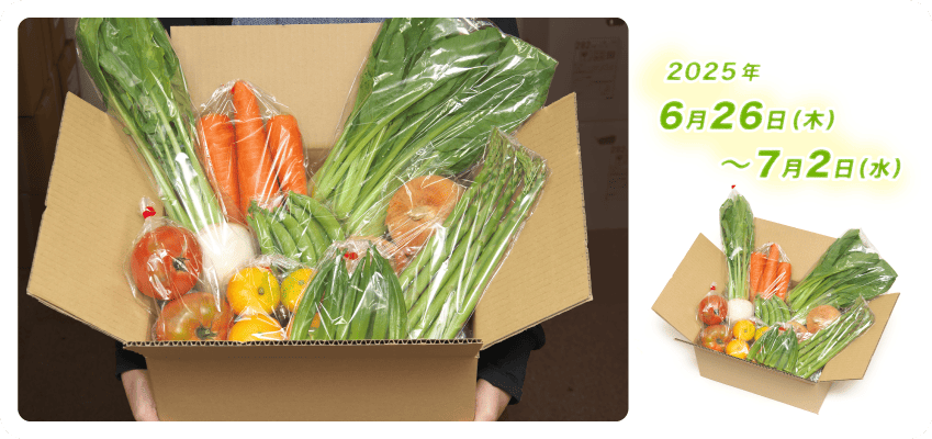 野菜定期便Kの内容例