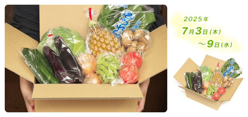 野菜定期便Kの内容例