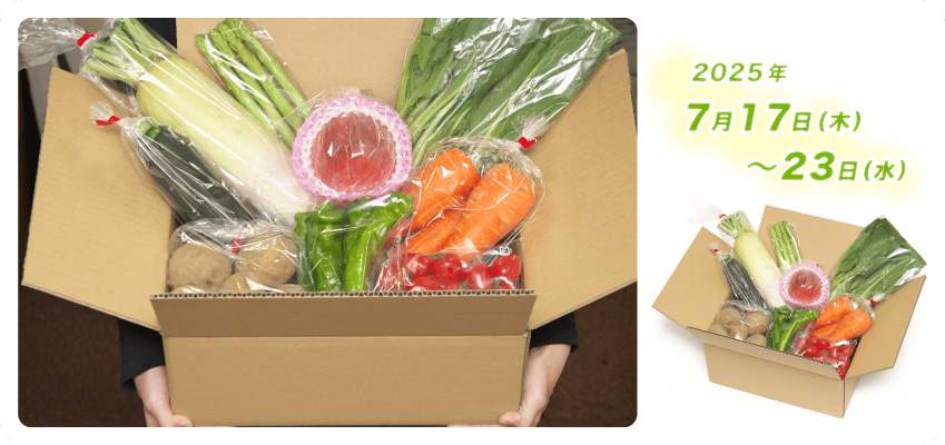 野菜定期便Kの内容例