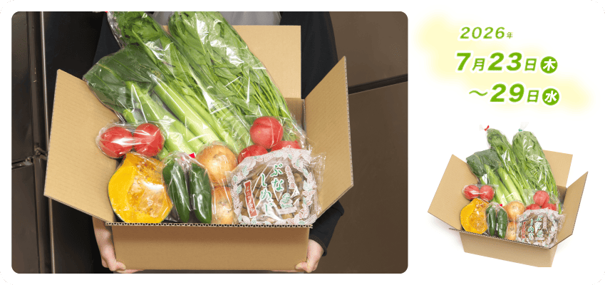 野菜定期便Kの内容例