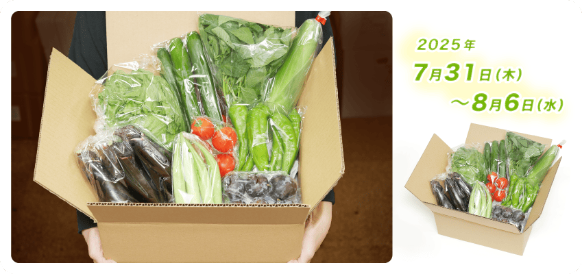 野菜定期便Kの内容例