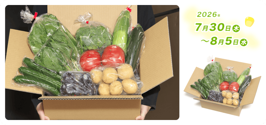 野菜定期便Kの内容例