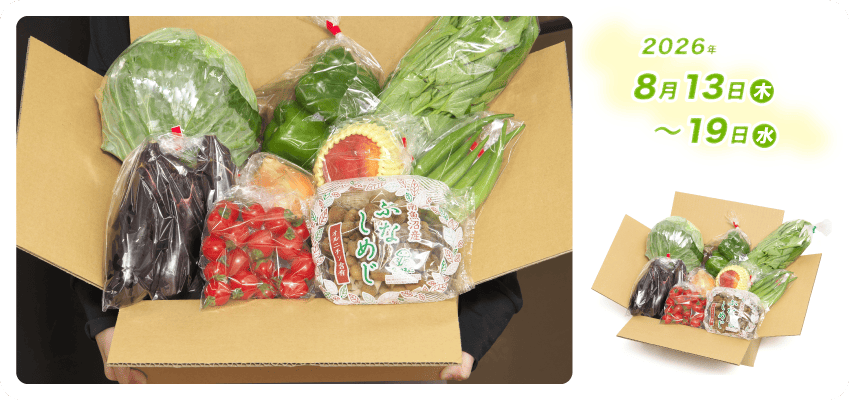 野菜定期便Kの内容例