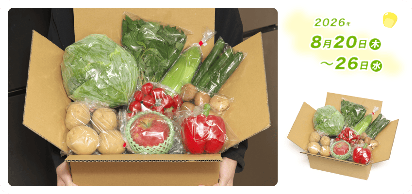 野菜定期便Kの内容例