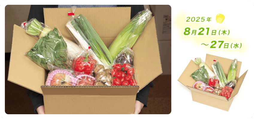 野菜定期便Kの内容例