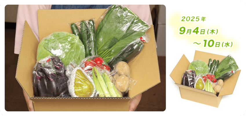 野菜定期便Kの内容例