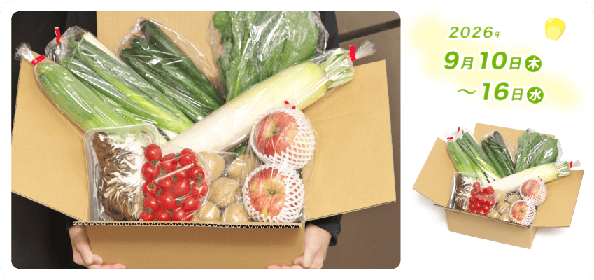 野菜定期便Kの内容例