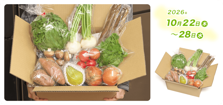 野菜定期便Kの内容例