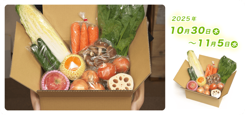 野菜定期便Kの内容例