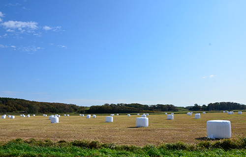 天塩の牧場風景