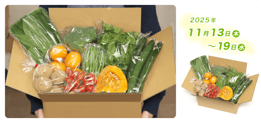 野菜定期便Kの内容例