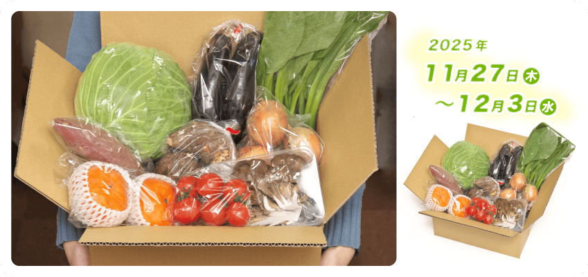 野菜定期便Kの内容例