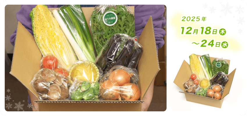 野菜定期便Kの内容例