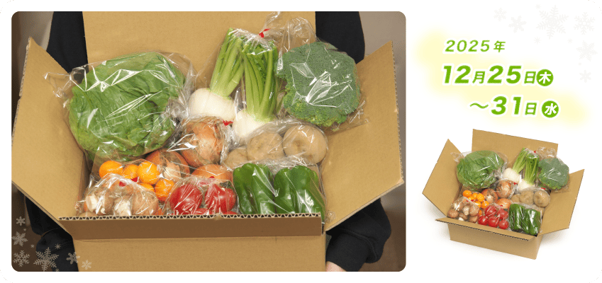 野菜定期便Kの内容例