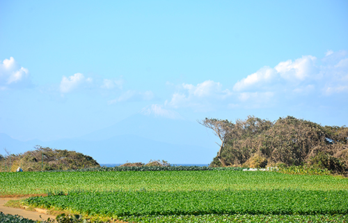 三浦半島から見る富士山