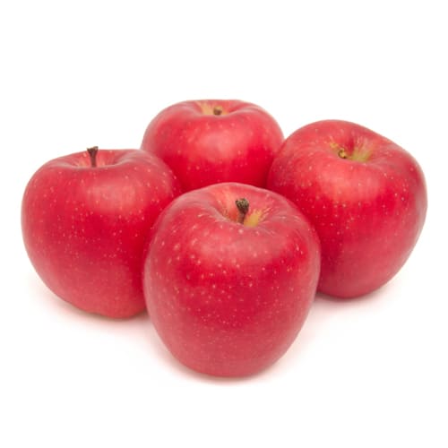 北海道産 森さんが育てた りんご ひめかみ