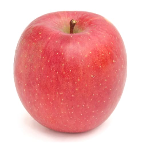 葉とらずフジりんご