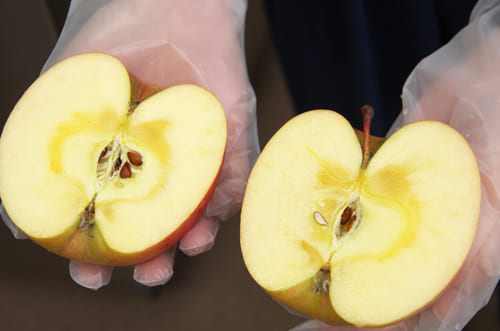 山下さんの葉取らずフジりんご 2025/12/12