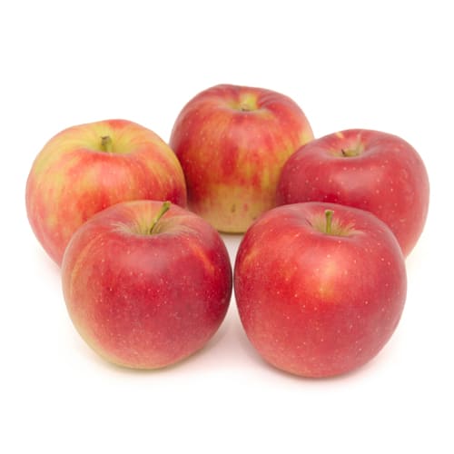 長野県産 成田さんが育てた りんご 紅玉