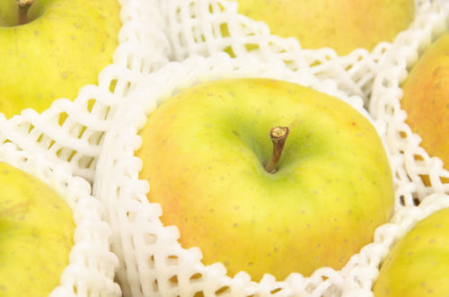 奈良岡さんの青林