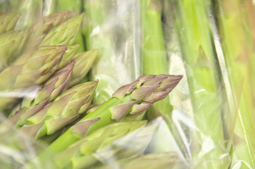 アスパラガスの穂先が紫がかる