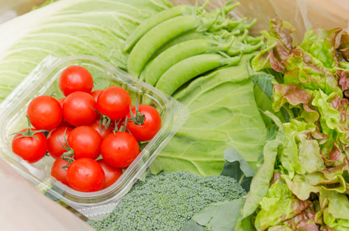 豊橋野菜セット