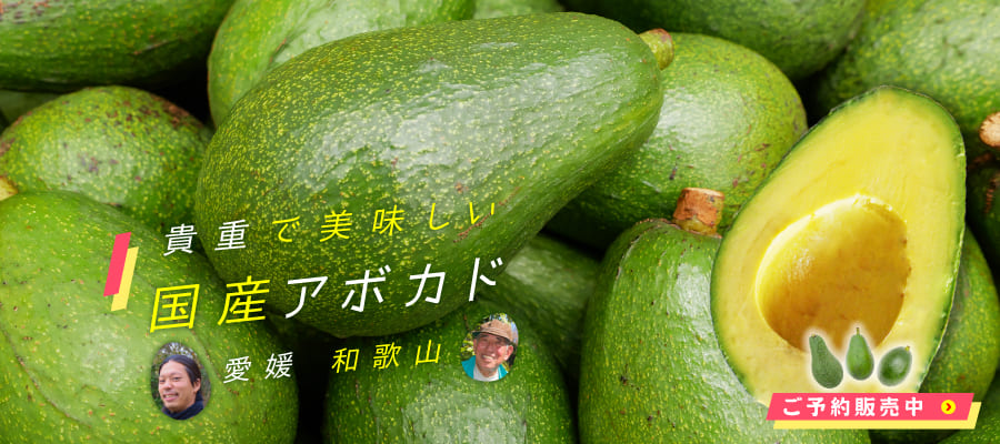 国産アボカド特集