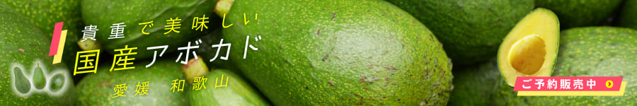 アボカドバナー細長2025