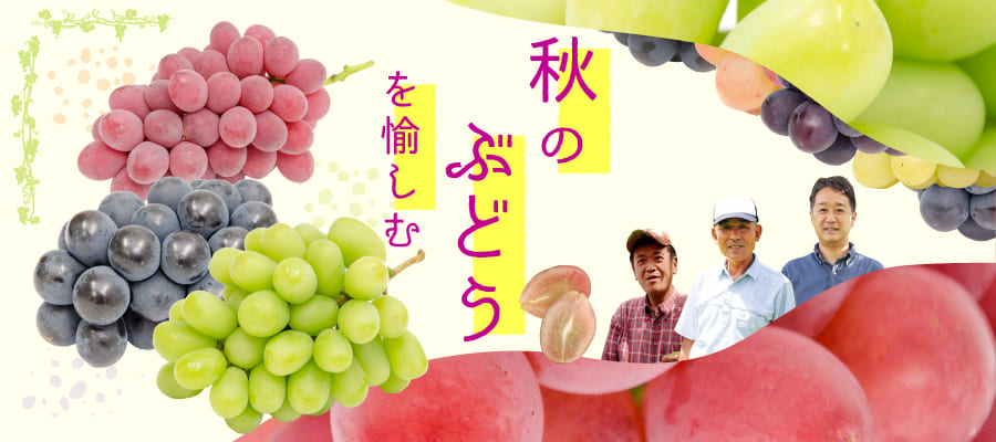 ぶどう特集