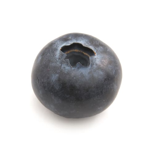 ブルーベリー天野さん