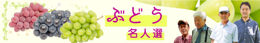 ぶどう特集