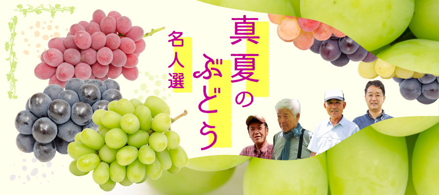 ぶどう特集
